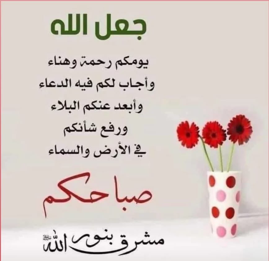 طيبه الملا حساب جديد tweet media