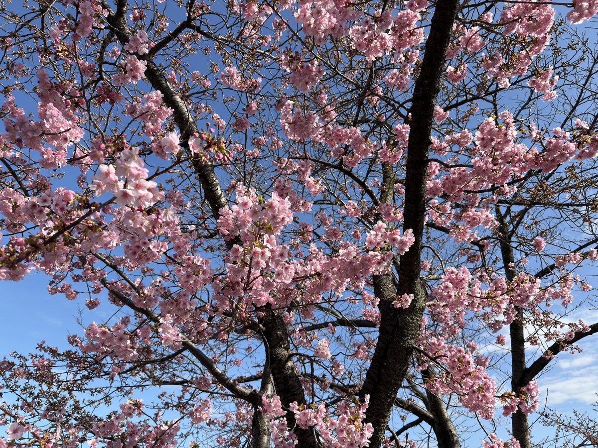 ひろりん♪ (@hirorin4649) / Posts / X