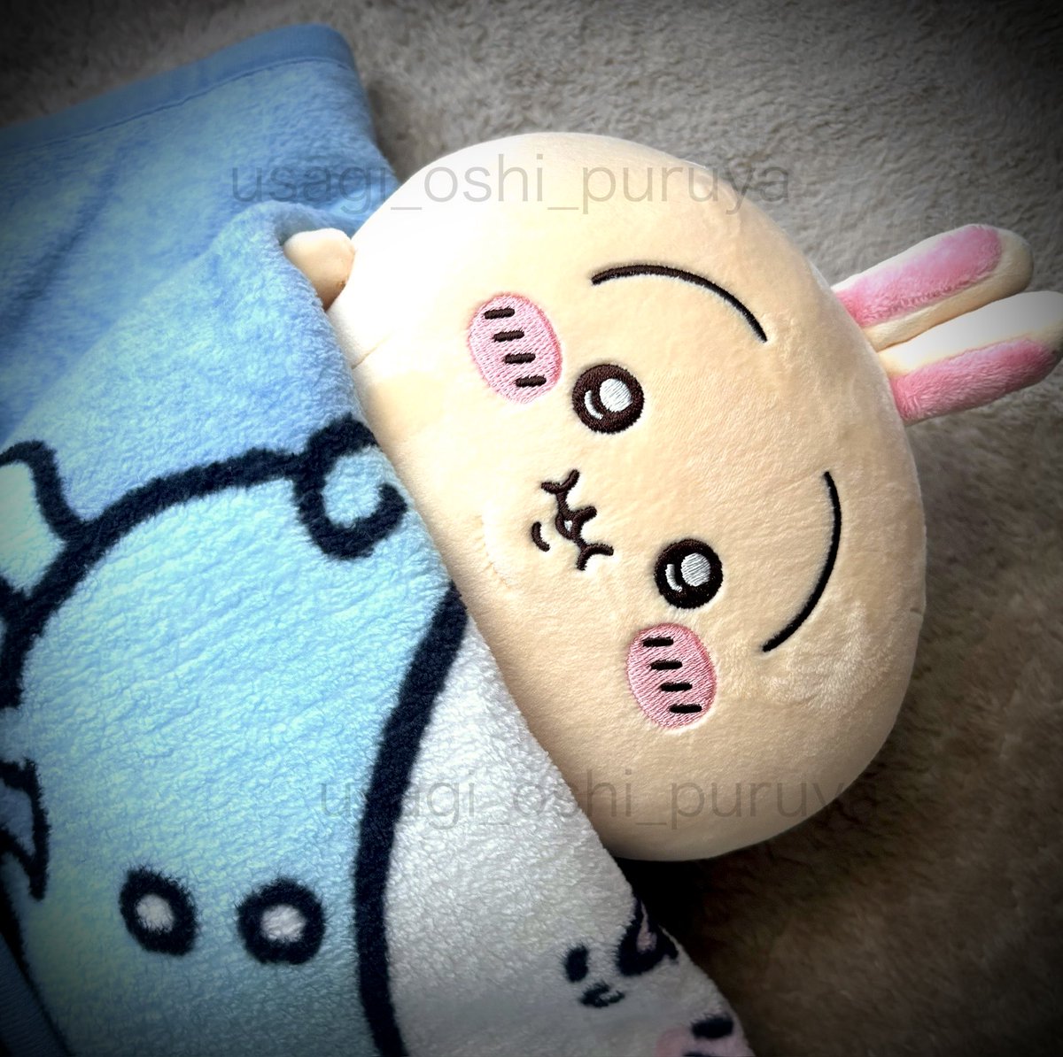 うさぎ推しプルャ！ (@usagi_uraura5) / Posts / X