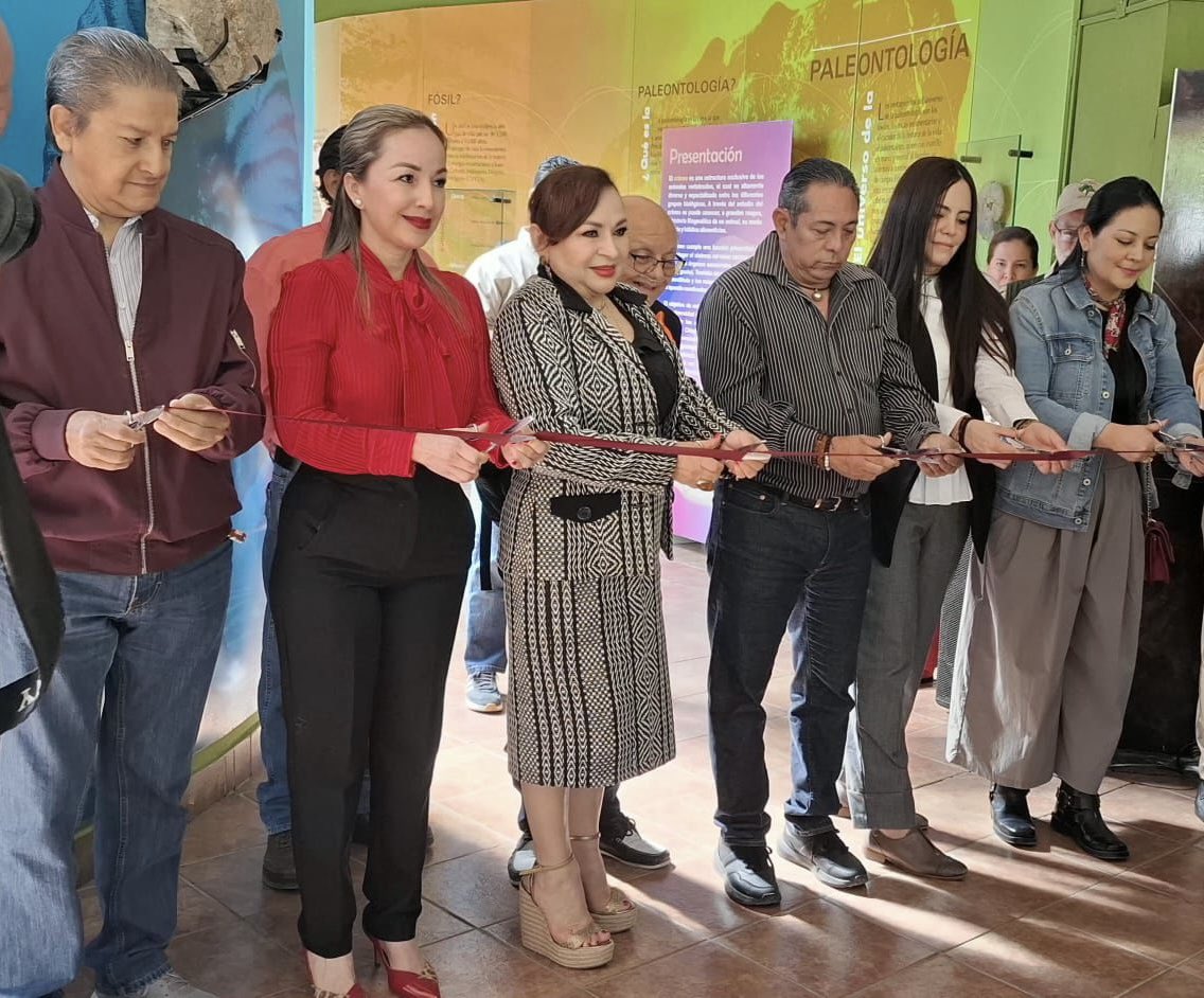 DylCamacho's tweet photo. Hoy fue un honor cortar listón de la exposición “Cráneos” en el Museo de Paleontología de Tuxtla Gutiérrez. Muestra la gran riqueza de organismos vertebrados. Asistan.👇🏽
https://t.co/1pECpOFMQJ https://t.co/876dCSUKzI