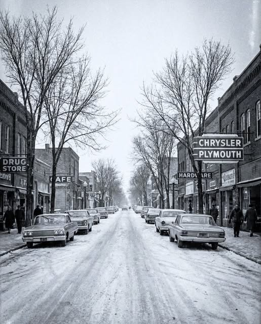 Connie 🇺🇸 tweet media