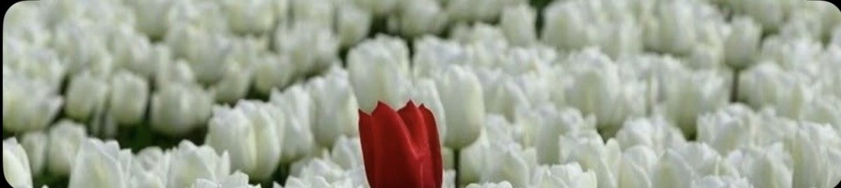 6lll_s's tweet photo. That person’s presence