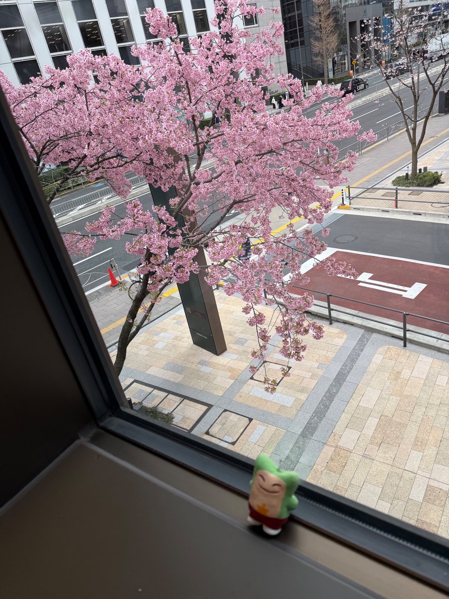 Whatch_official's tweet photo. コルティナオリンピックも終わり、次はWBCですね！麻布台ヒルズの河津桜が綺麗だったので、ホワット連れてお散歩行ってきました。ソメイヨシノが咲く頃には新生活準備という方も多いのでは？
プロダクションマネジャーのお仕事を面白く解説！
#ホワチャン　#映像制作  #PM
https://t.co/ya699i2ORG https://t.co/gSKnCYbDNh