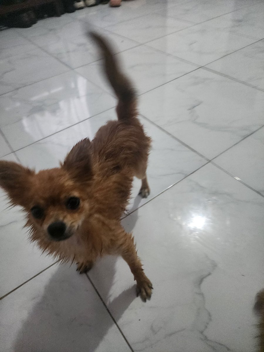 Daniel ☁️ tweet media