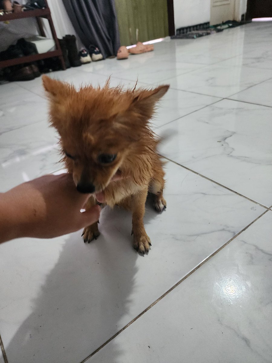 Daniel ☁️ tweet media