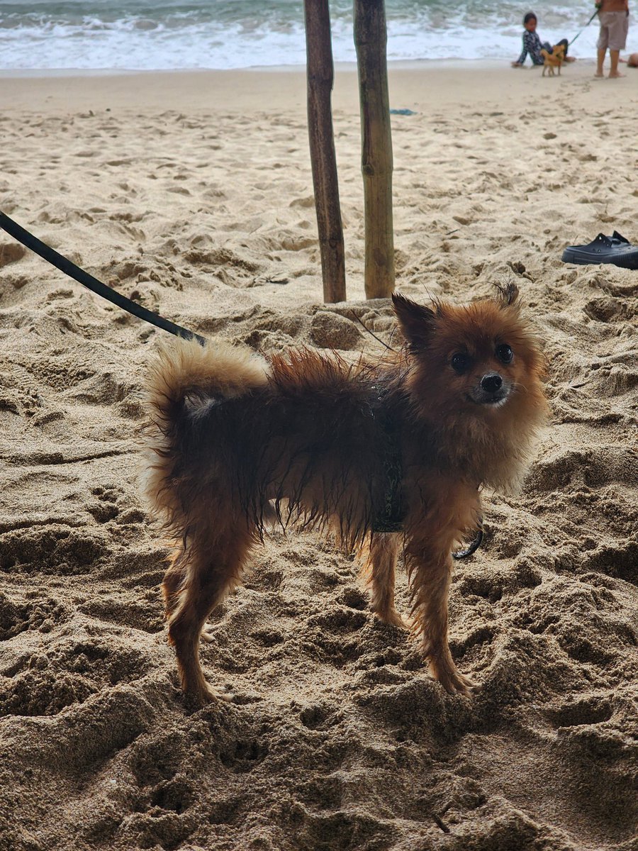 Daniel ☁️ tweet media