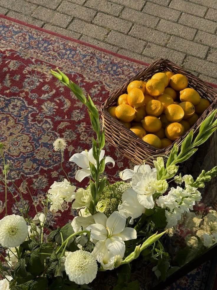 الحياه لحظه tweet media