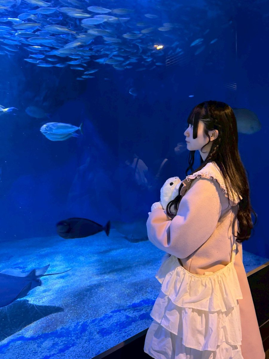 水族館大好き𓆛𓆜𓆝𓆞𓆟