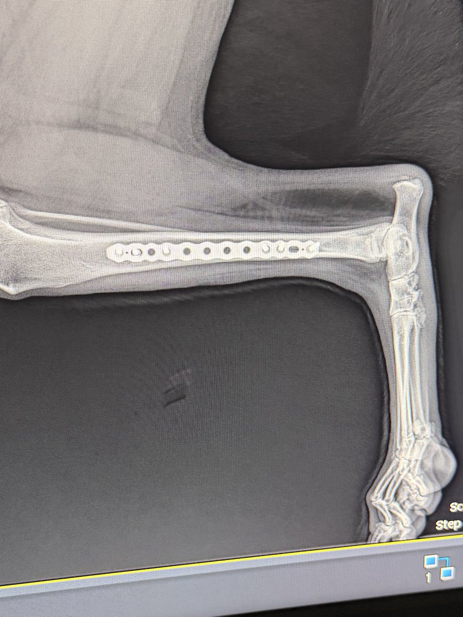 Oatmeal 🥣 tweet media