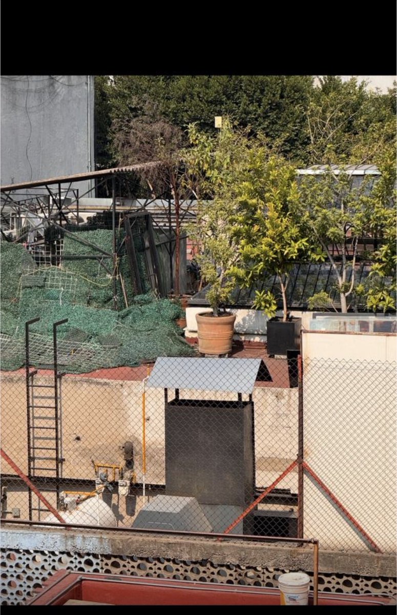 lolarerom tweet media