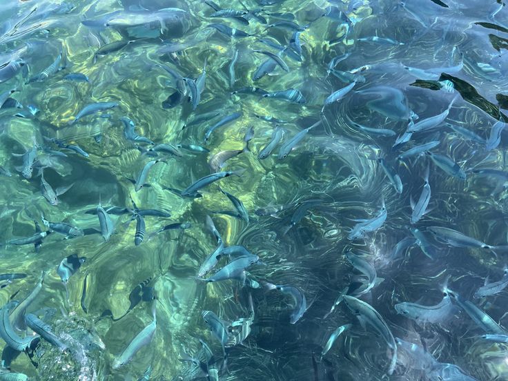 𝒍𝒖𝒏𝒂 tweet media