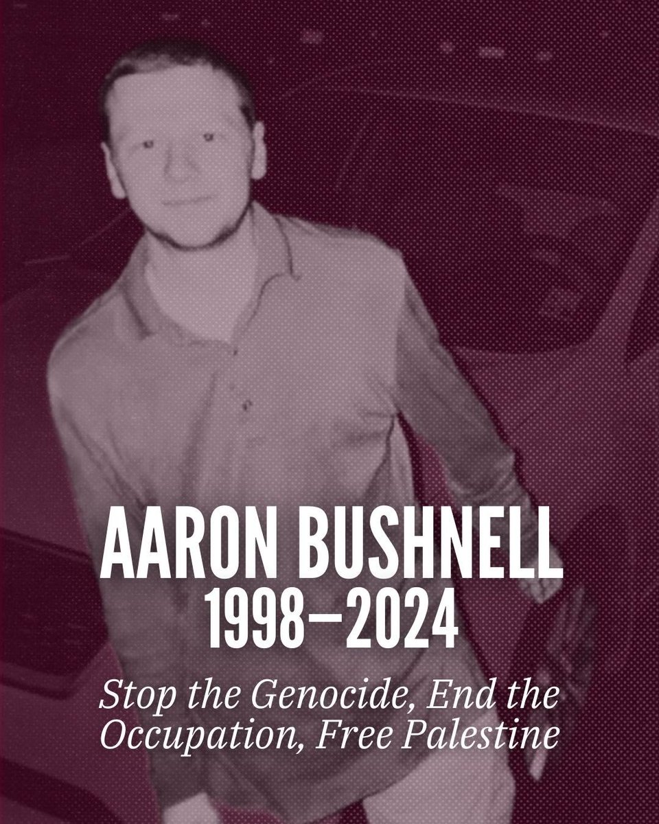 Springs of Revolution 🌺 tweet media