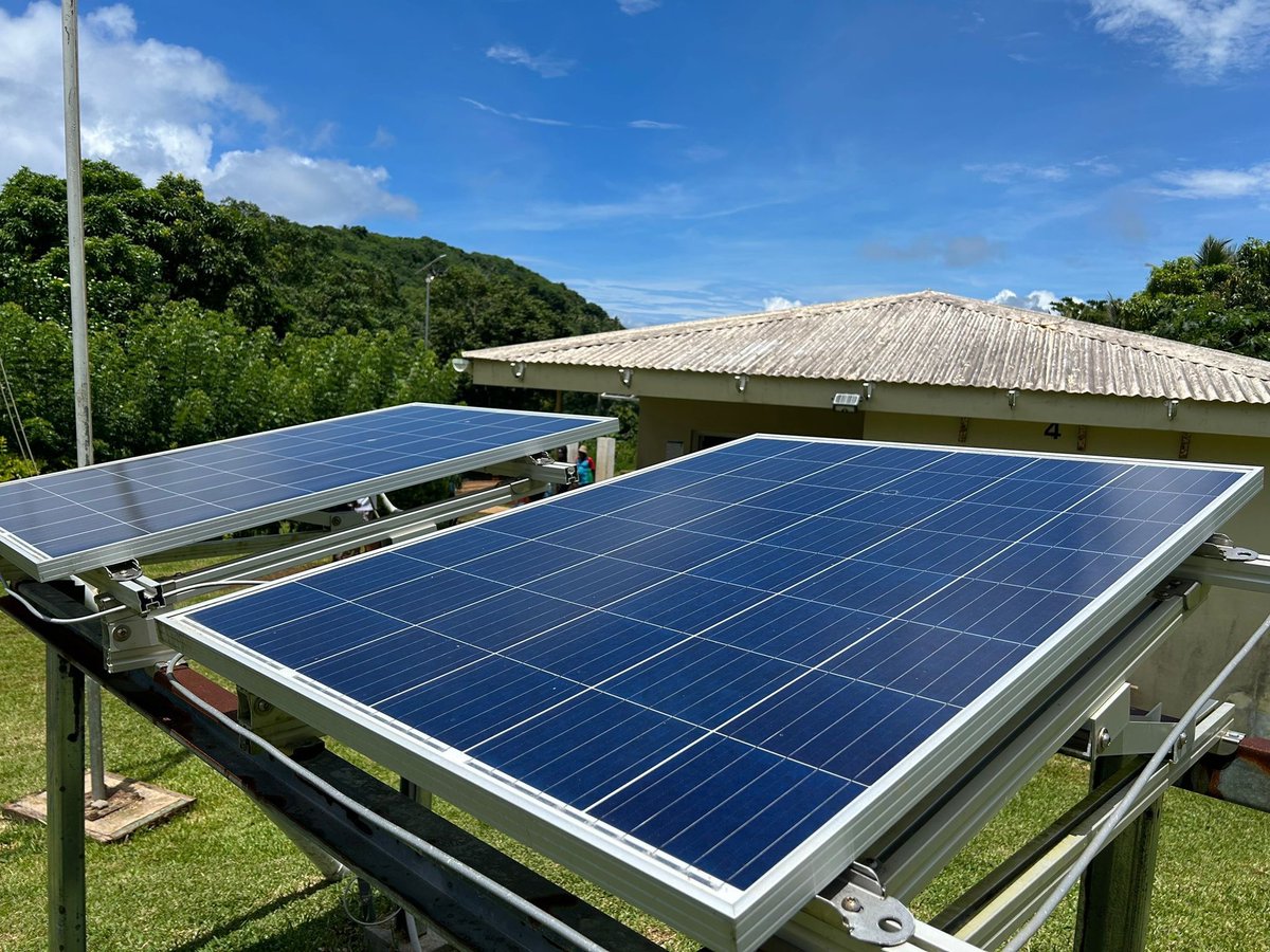 Will Nankervis tweet media