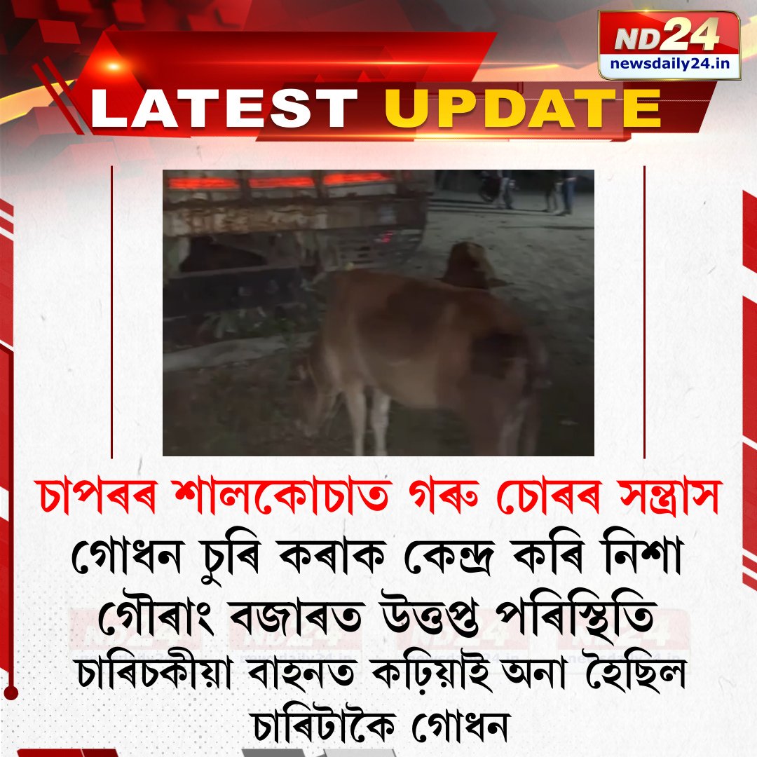 nd24_news's tweet photo. চাপৰৰ শালকোচাত গোধন চুৰিক কেন্��্ৰ কৰি উত্তপ্ত পৰিস্থিতিৰ সৃষ্টি।
#Chapar #Assam https://t.co/sweDruI9O2