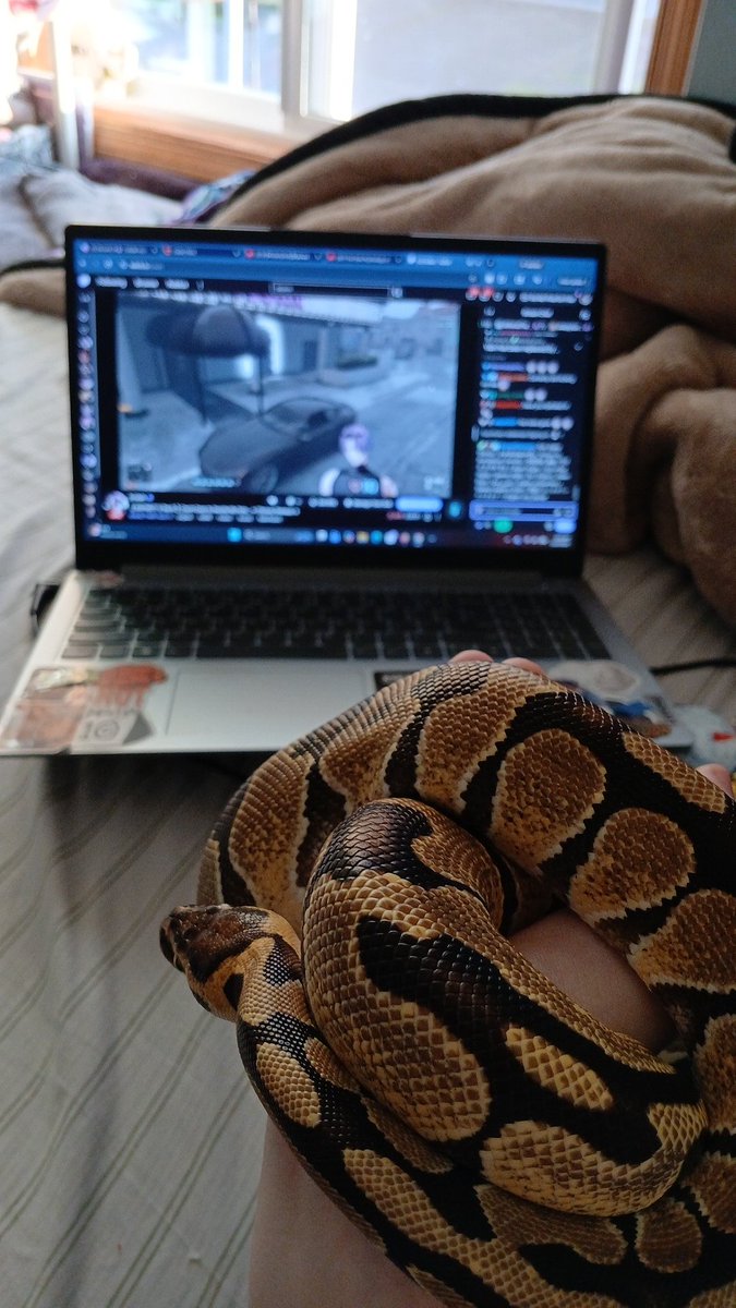 E-Thot Ghandi -ARISxx tweet media