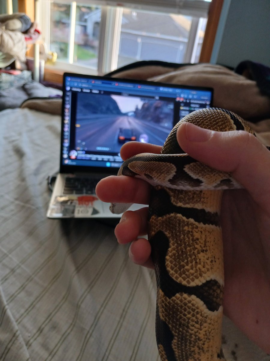 E-Thot Ghandi -ARISxx tweet media