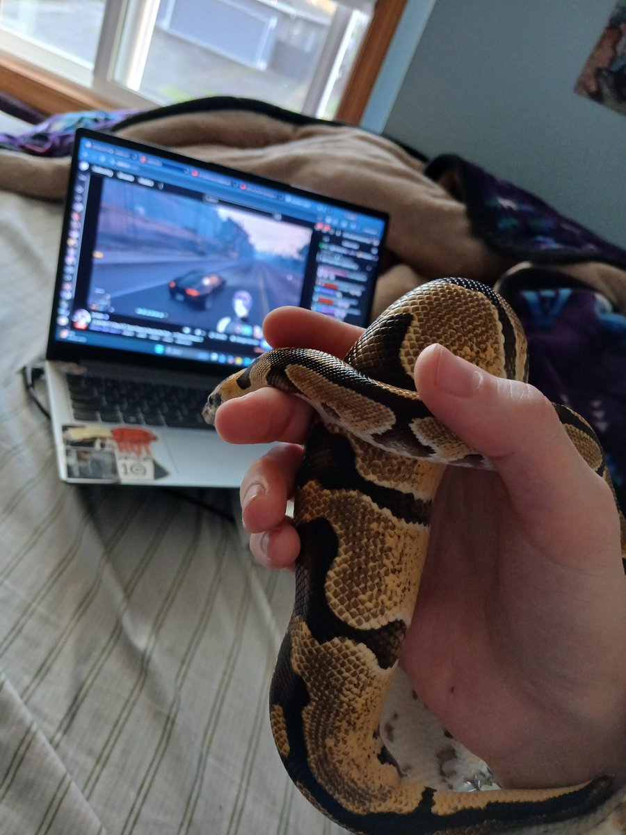 E-Thot Ghandi -ARISxx tweet media