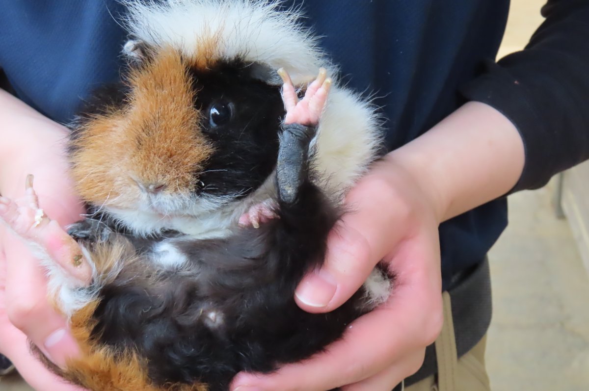 おはようございます😊🎶 先日のお当番♪ もじゃもじゃモカちゃん