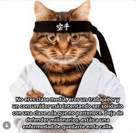 Agarra el pedo, camarada. Si crees en la clase media, te hacen falta unas buenas lecciones de historia <3
