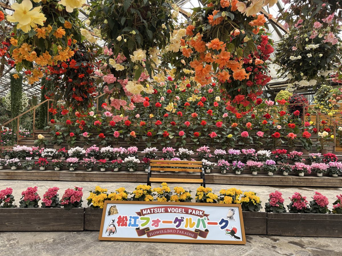 ぽいちゅ tweet media