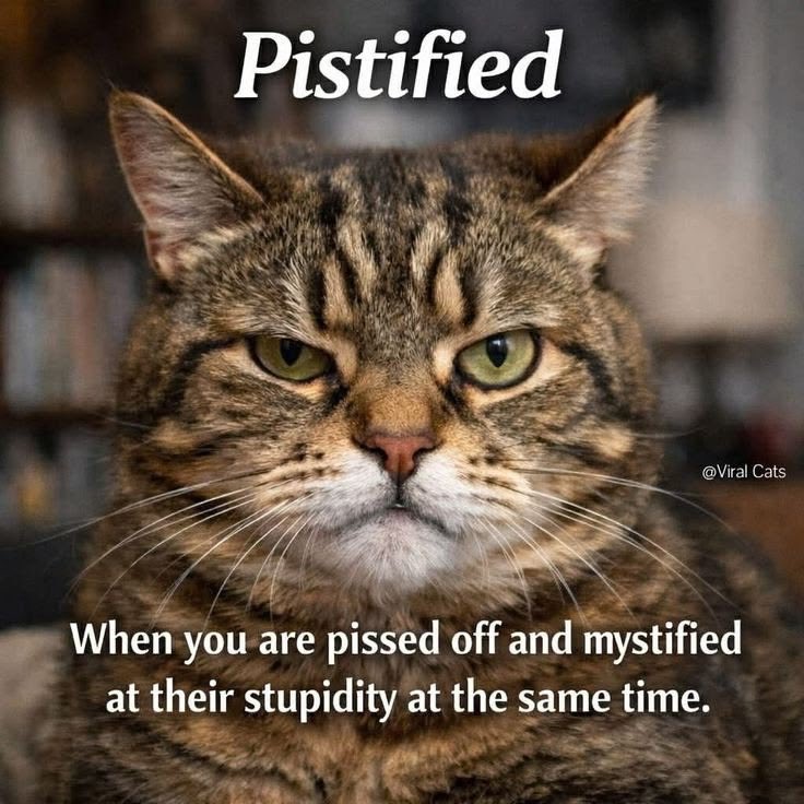 iamAtheistGirl's tweet photo. https://t.co/LTFYnD1nCG
