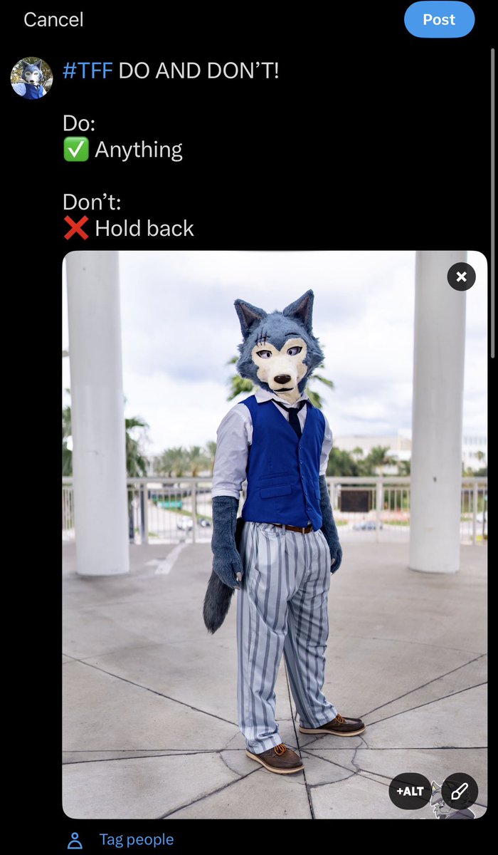 Moose (Differmitt) 🔜 TFF tweet media