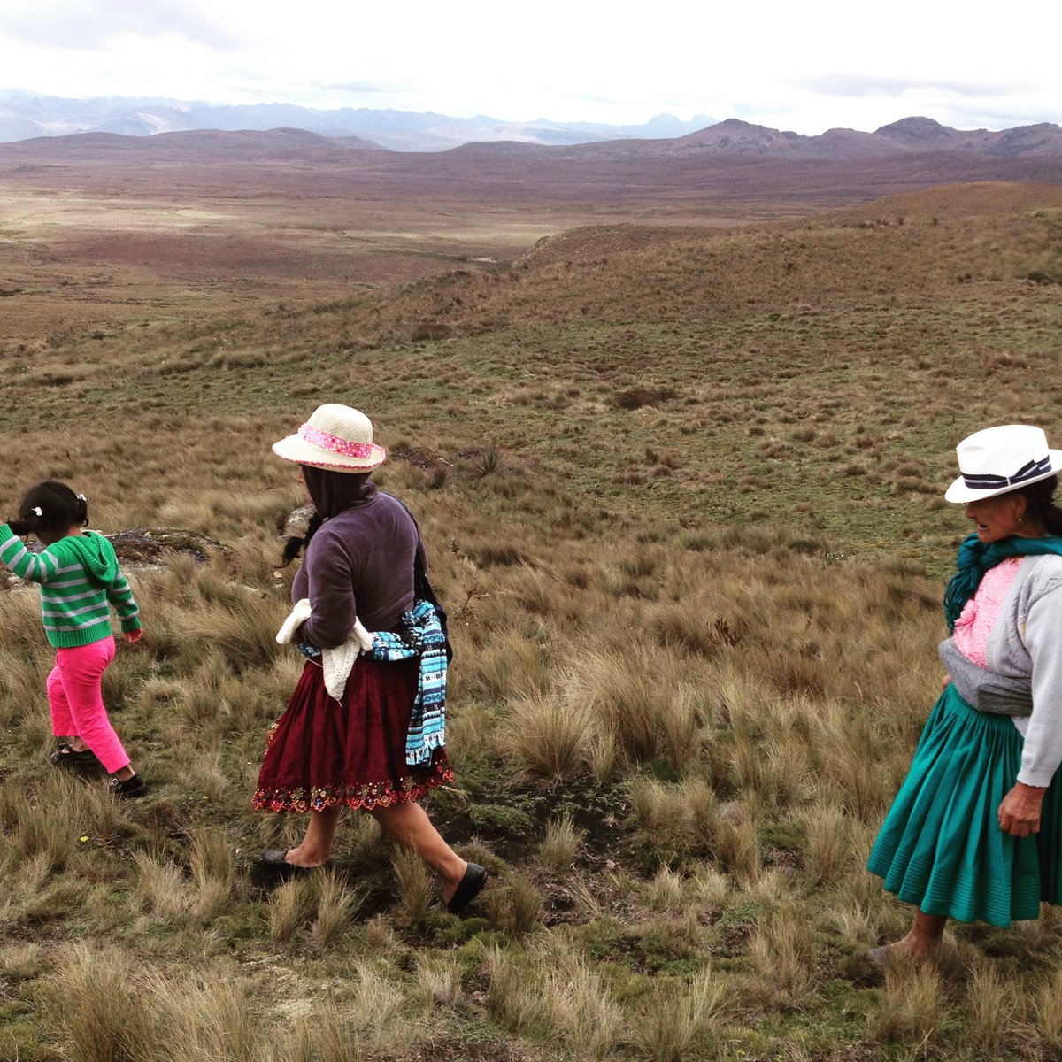 CamilaMaryfuego's tweet photo. La Ley de Fortalecimiento Minero no es desarrollo. Es expansión extractiva con menos controles y más riesgo para el agua, los territorios y los derechos.

La @AsambleaEcuador debe actuar con coherencia y ARCHIVARLA.

#ArchivoLeyMinera
#ElAguaNoSeVende https://t.co/KcdWAQL9pi