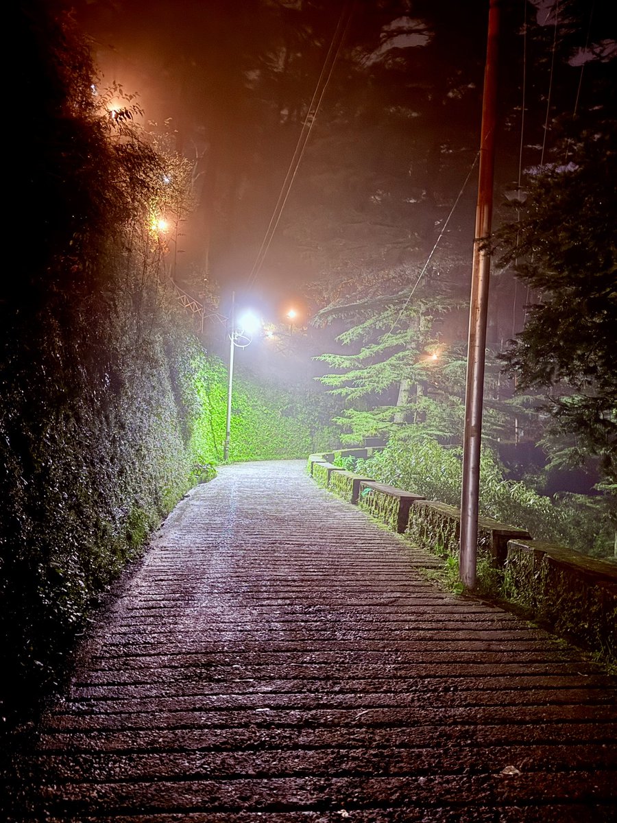 Oh what a beautiful privilege to live.

Woh baat alag hai ki agle din mountain monkeys mere AirPods cheen ke le gaye. 😂