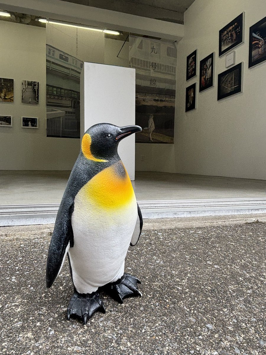 yukaihands's tweet photo. キョジン中嶌 写真展
「虚塵-kyojin-」

本日から再開です！
まだの方は是非この機会に
お越しください🙌

会期：2月20日(金)-3月1日(日)
開廊時間：13:00-19:00
入場料：無料
会場：ユカイハンズギャラリー

28日には青山裕企氏とのトークイベントもユカイハンズギャラリーにて行います！ https://t.co/slo5kOdx9p