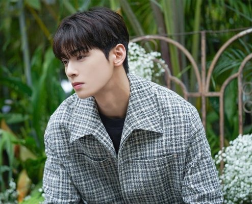 Cha Eunwoo’s tax dispute has sparked wider debate among entertainment industry insiders, tax experts, accountants, and legal professionals over income attribution and the broader use of one-person corporations by high-income individuals.

The Seoul Regional Tax Office reportedly