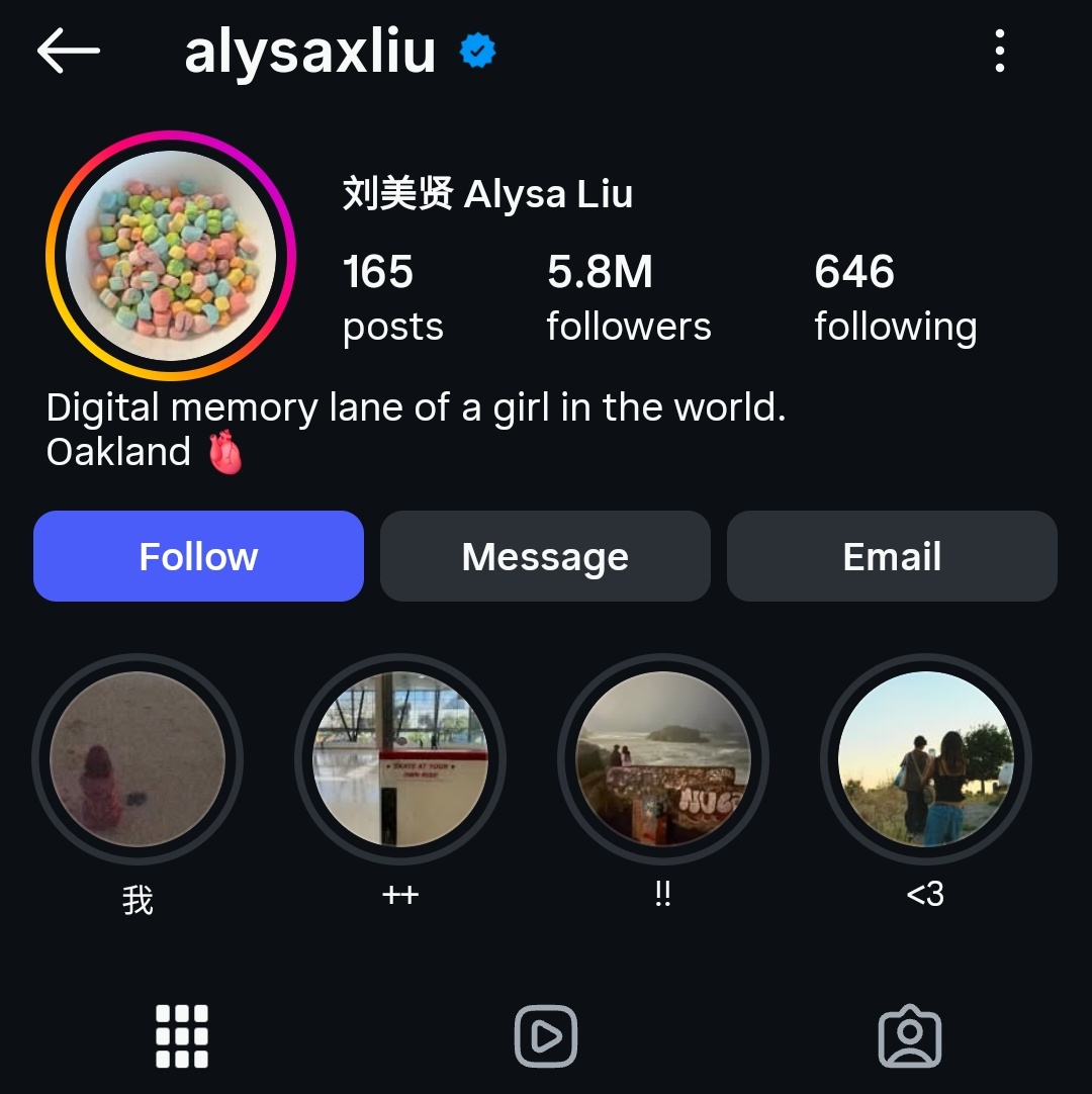 The Conservative Alternative tweet media