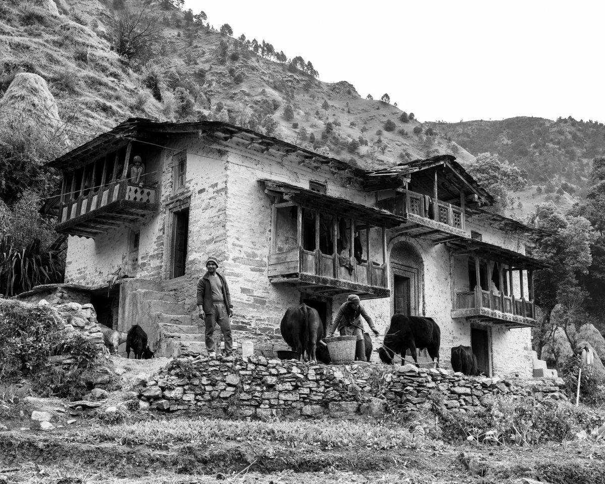 JohnnyFennPhoto's tweet photo. Houses in the far west of northern Nepal were built differently; heavier, more enclosed, shaped by terrain and weather.
Life going on.
From a 114‑day walk across Nepal, west to east, no map.
#NoMapAcrossNepal #Nepal #TravelMemoir #Photography https://t.co/ddRLp5bKrz