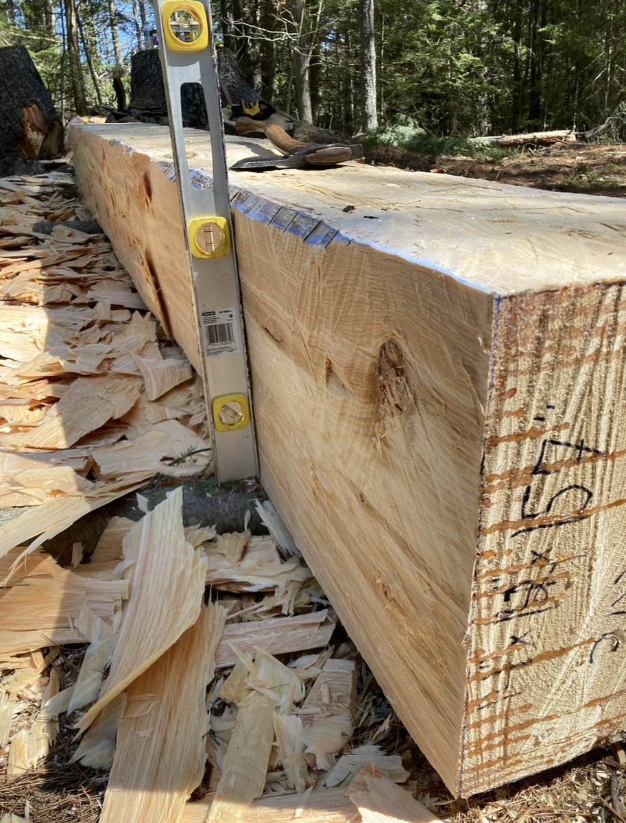 Renaissance Timber LLC tweet media