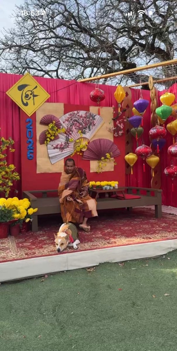 Vijayluffy_943's tweet photo. Aloka taking a walk around the temple today.  These are from the live feed today.  ❤️
#WalkForPeace
#VenerableMonks
  #AlokaThePeaceDog #BuddhistMonks #PeaceJourney https://t.co/mKTQwabwuH