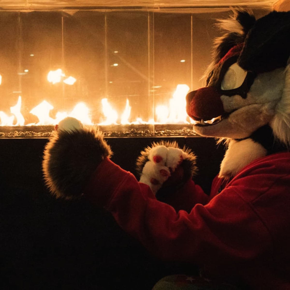 🌻🌤Poptartro🌤🌻🐝 tweet media