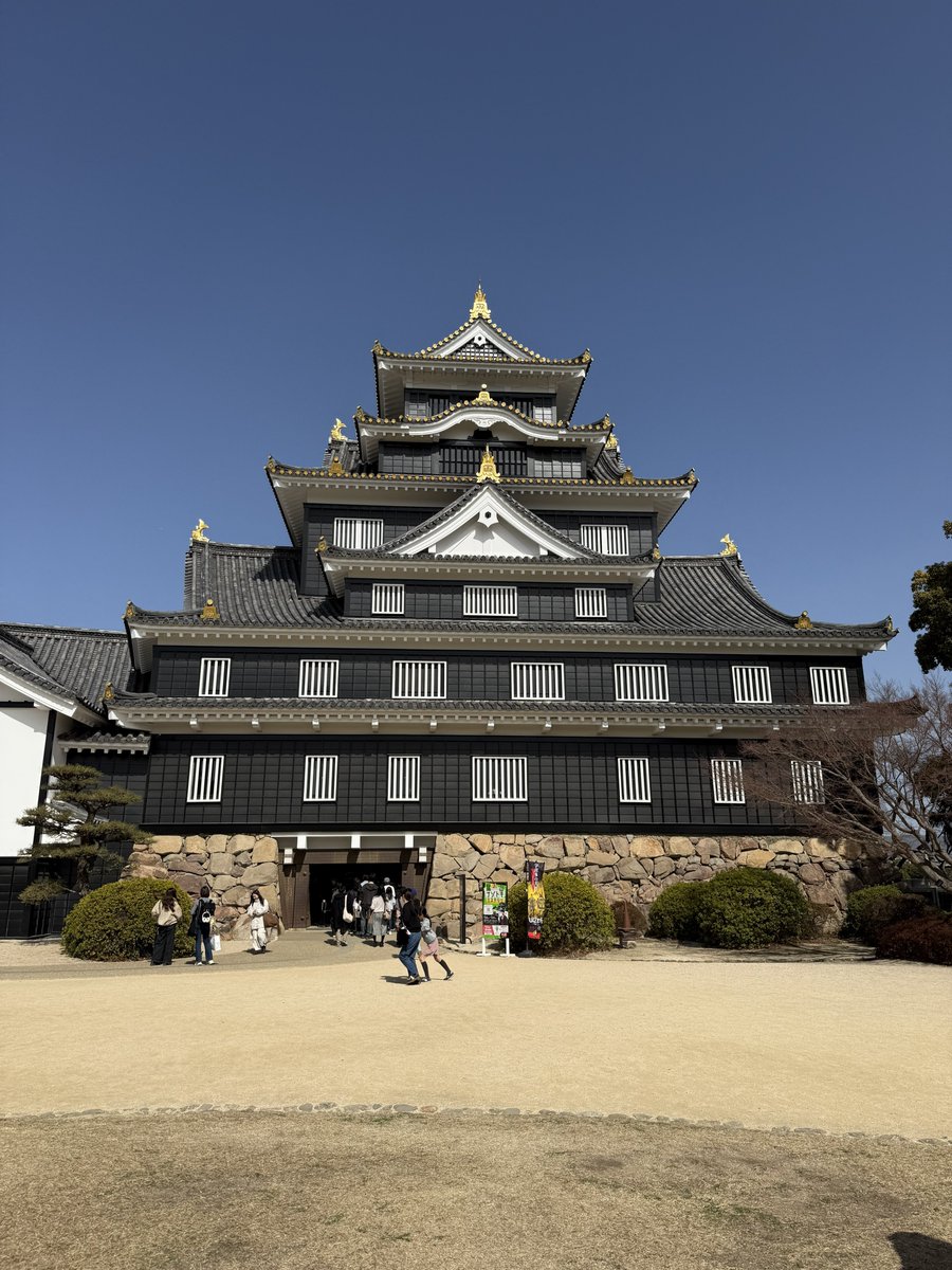 uy_f4d's tweet photo. 岡山城🏯

NN https://t.co/Kxye8QVnXN