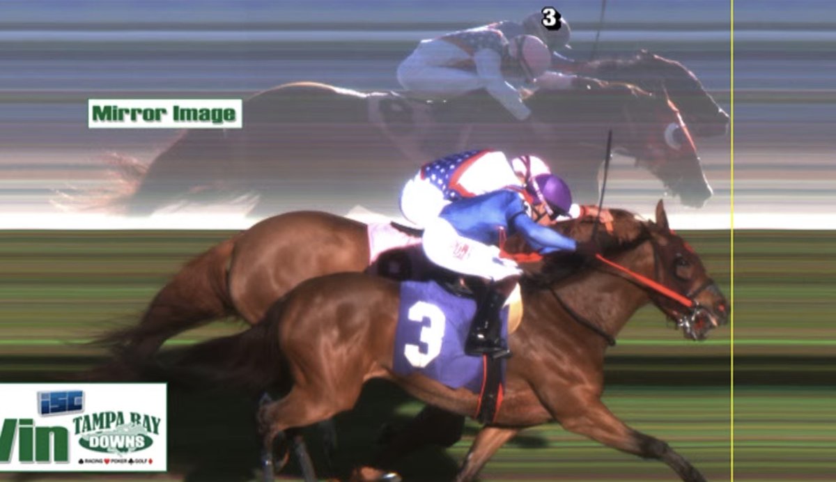 MJM Stable tweet media