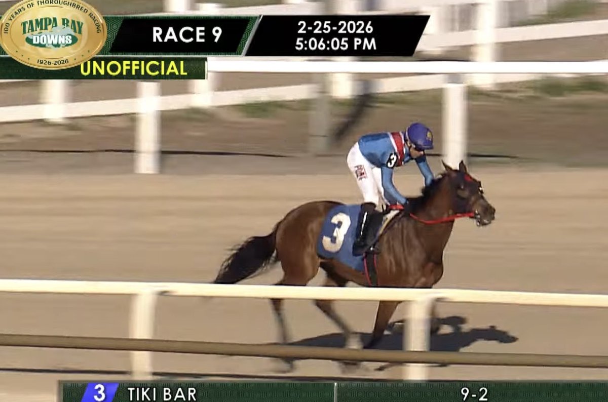 MJM Stable tweet media