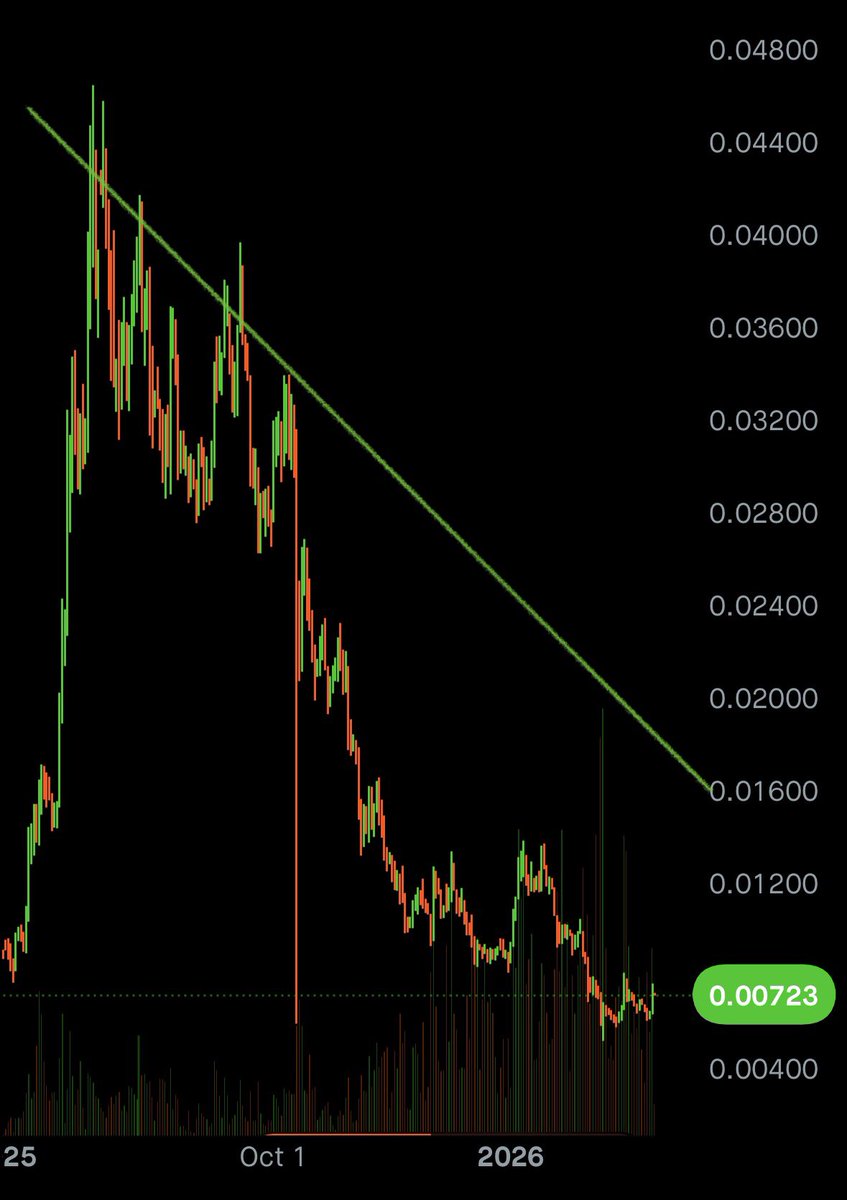 ₿it₿ull 𓃵 tweet media