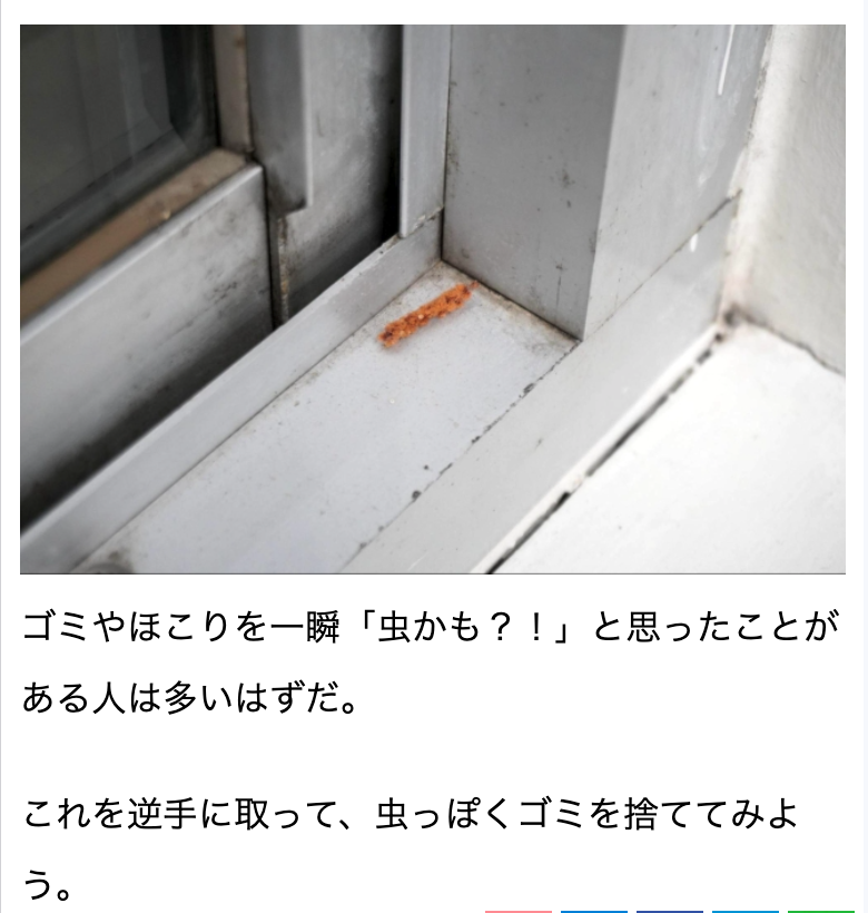 まいしろ tweet media