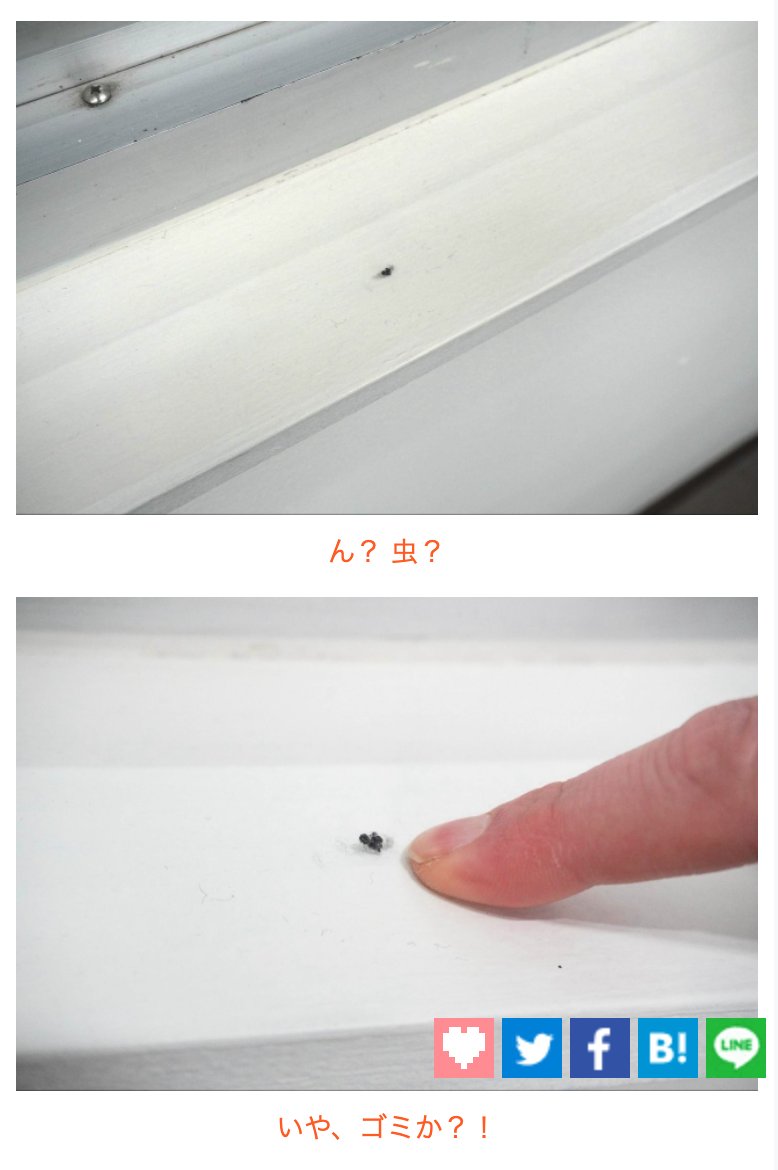 まいしろ tweet media