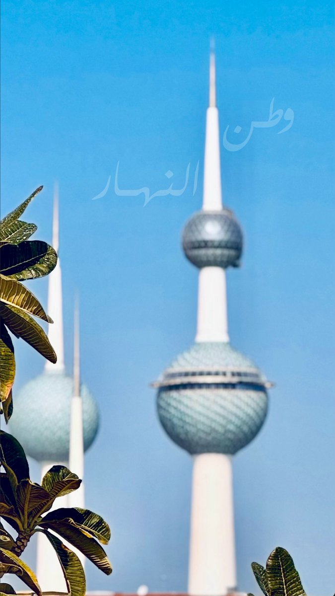 فاطمَ 🇦🇪 tweet media