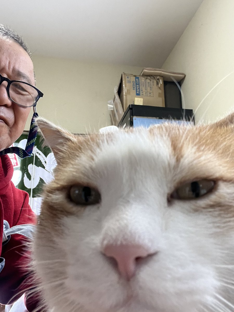 そば処大むら ペタコンちゃんねる (@oomurapetakon) / Posts / X