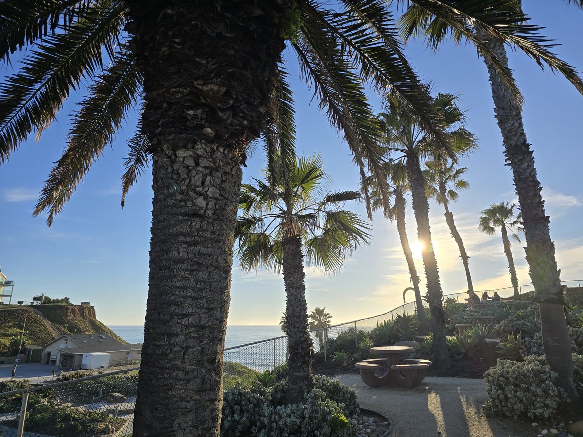 Papa Pummels tweet media