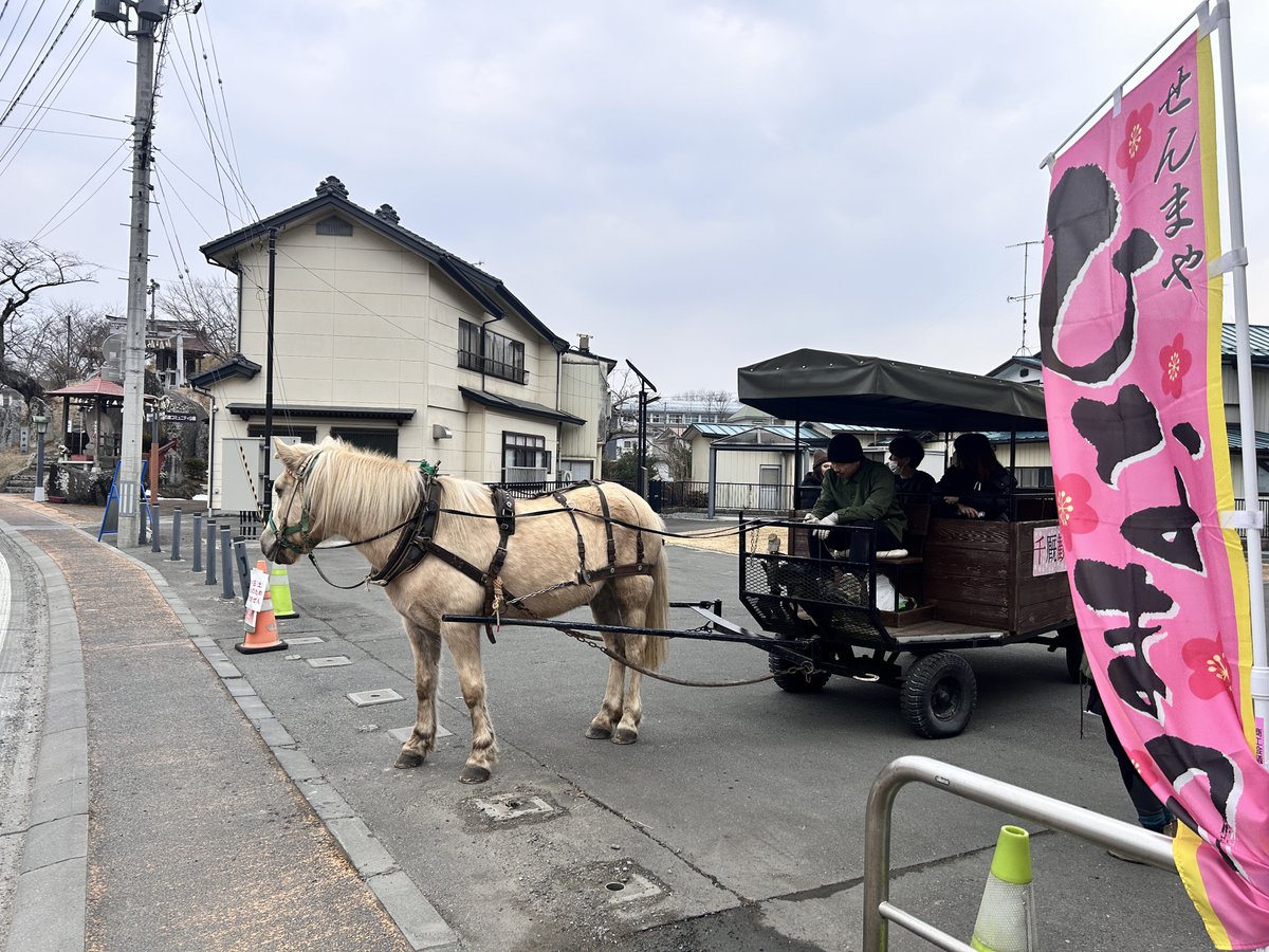 🐎【最終運行】千厩観光馬車ツアー🐎

２月28日（土）、千厩観光馬車ツアー最終運行です！！
まだ馬車に乗ったことがない人も、もう一度乗りたい方も大歓迎です！
※乗車には「せんまやひなまつり入場券」が必要になります（中学生以下は不要）

#千厩観光馬車ツアー #せんまやひなまつり #ひなまつり