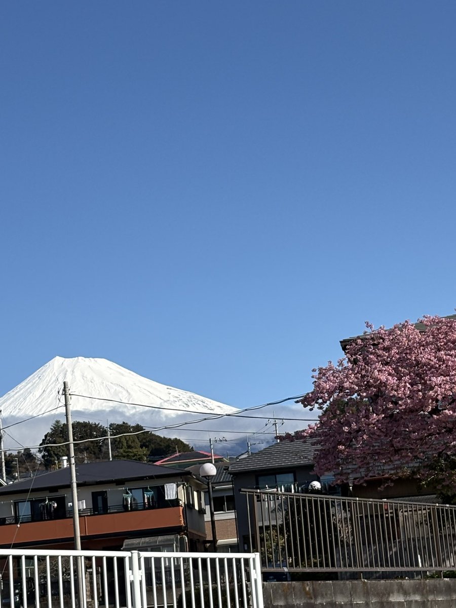 oguma3777's tweet photo. 今日は晴れました
昨日の雨で富士山🗻また白くなってます
家の前から、満開の河津桜と富士山‼️ https://t.co/fzAHi5dnZO