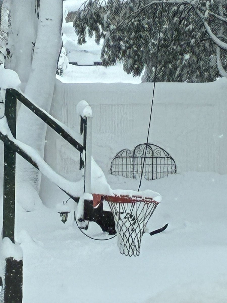 bballdad4️⃣4⃣7⃣4⃣5⃣ 📺 🏀🖋⚡️⚾️ 🐦#36🇨🇦 tweet media