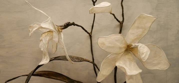 •• RaŇa 🌸🖇️ tweet media