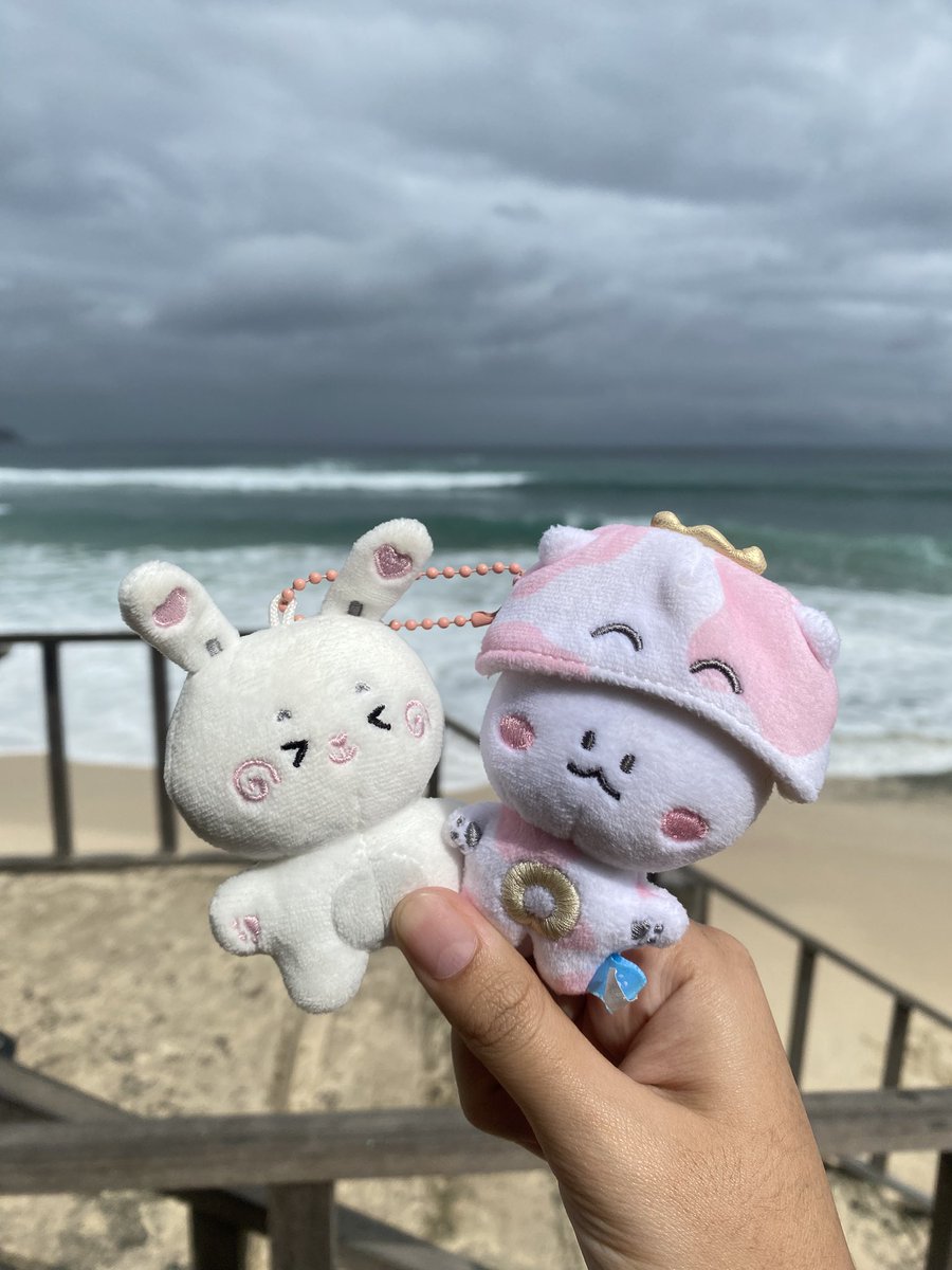 kttycatd's tweet photo. wts want to sell
bbiro &amp; syubi plush keyring doll

📍dom jateng, bisa 🍊
preloved, price by dm guys bingung mau jual brp, minat langsung dm yaa!

tags doyoung junghwan bbiro super king cow baby junghwan doll funny treasure plush keyring truz https://t.co/p0amSnhESh