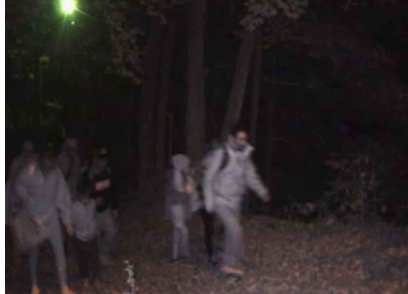 401_da_sarpanch's tweet photo. #BORDER: DOJ Indicted Two Men In Transnational Human Smuggling Operation After Illegal Aliens Arrived In Canada By Airplane, Then Were Smuggled Across The📍Canadian Border Into Vermont,USA. Francisco Rosado, 27, Of Dominican Republic & Jesus Hernandez Ortiz, 37, Of Puerto Rico Were Charged For 12 Counts Of Illegally Bringing Aliens Into The U.S.🇨🇦🇺🇸 - READ👇